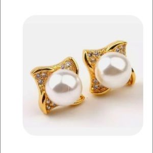 Beautiful woman earring